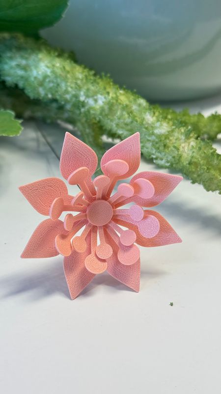 Blomst Aprikos